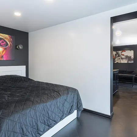 Loft Apartment Kaunas